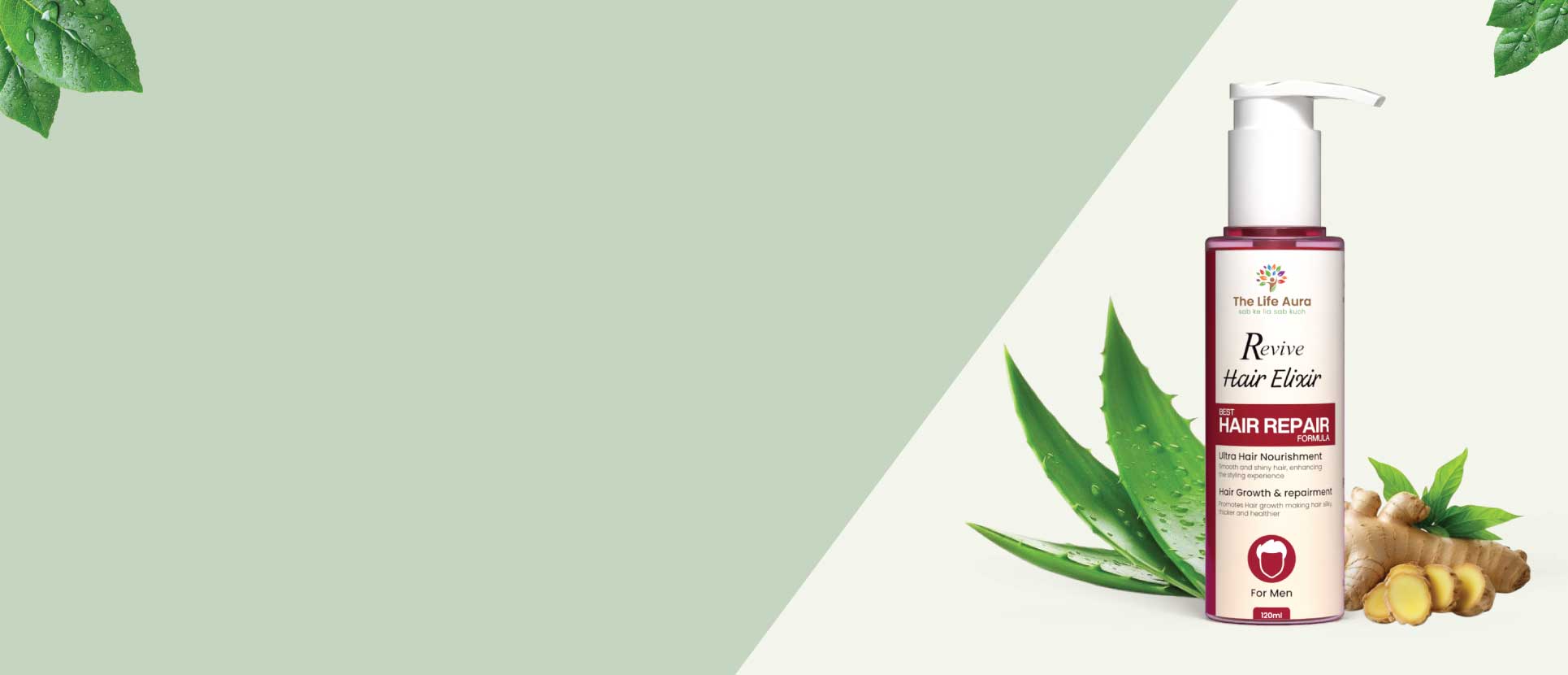 Desktop Slider Image